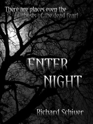 cover image of Enter Night